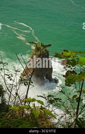 Vue sur l'océan à Punta Catedral Trail dans le parc national Manuel Antonio au Costa Rica Banque D'Images