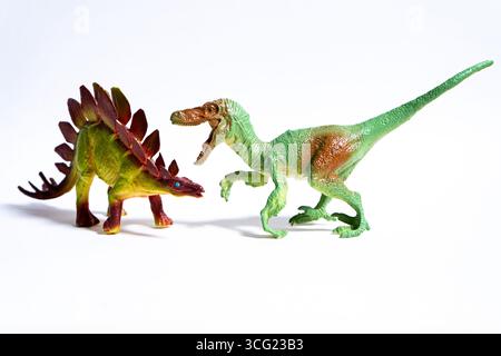 Les jouets de dinosaure en plastique représentant un vélociraptor attaquant un stégosaure, isolé sur un fond blanc, donnent un aperçu des temps préhistoriques Banque D'Images