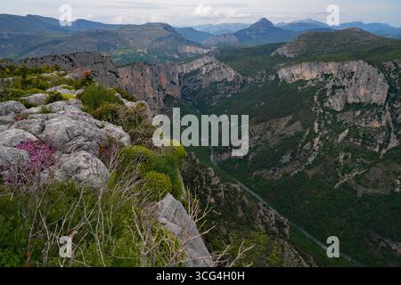 Vue plongeante sur le Verdon dans les Gorges du Verdon, un canyon, dans le sud de la France Banque D'Images