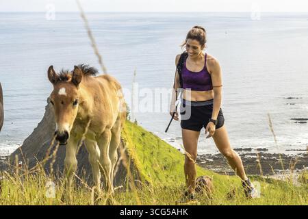Femme randonneuse avec son chien rencontrant des chevaux sauvages en marchant sur les falaises de la plage de sakoneta, à côté du flysch de zumaia, pays basque, espagne Banque D'Images