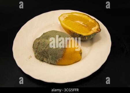 Gros plan de citron coupé avec moisissure verte sur le concept de plaque blanche de déchets alimentaires d'agrumes gâtés et d'aliments malsains Banque D'Images