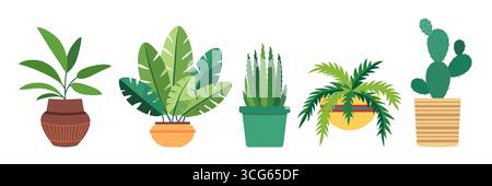 Collection de plantes d'intérieur dans un pot en céramique. Illustration vectorielle plate. Plante de feuillage vert pour la décoration de la maison, balcon, terrasse, jardin, patio, ver Illustration de Vecteur