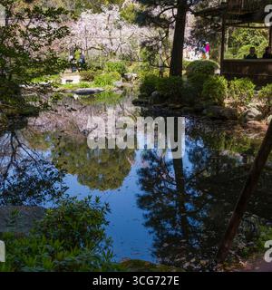Reflets d'arbres dans un petit étang dans le jardin ouest du sanctuaire Heian, Sakyo Ward, Kyoto, Kansai, Honshu, Japon Banque D'Images