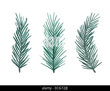 Trois petites brindilles de pin vert. Ensemble d'éléments isolés. Clip isolé dessiné à la main à l'aquarelle Banque D'Images