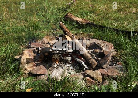 Feu de joie avec bois de chauffage dans la forêt un jour d'été. Banque D'Images