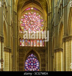Rose vitrail rayonnant projetant des motifs lumineux colorés, cathédrale notre-Dame de Reims Banque D'Images