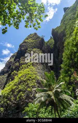 Un chemin de jungle luxuriant à travers la vallée de Hakaui, Nuku Hiva, les îles Marquises, Polynésie française. D'imposantes falaises de basalte et une végétation dense entourent le tra Banque D'Images