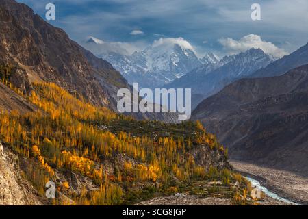 Vue sur le feuillage doré de l'automne accroché aux pentes accidentées, contrastant avec les pics austurs et enneigés qui traversent l'horizon, Hunza Nagar, Gilgit B. Banque D'Images