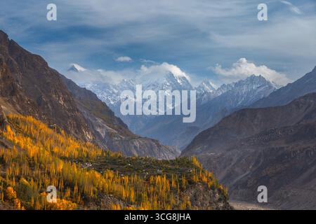 Vue d'arbres d'automne dorés accrochés à la colline accidentée, contrastant avec les sommets enneigés perçant le ciel, Hunza Nagar, Gilgit Baltistan, Pakistan. Banque D'Images