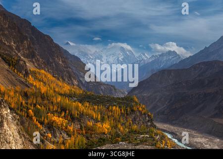 Vue des arbres d'automne dorés accrochés à des pentes abruptes sous d'imposants sommets enneigés, une rivière serpentant à travers la vallée en contrebas, Hunza Nagar, Gilgi Banque D'Images