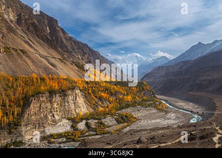 Vue d'arbres d'automne dorés accrochés à des falaises escarpées surplombant une rivière sinueuse sur fond de montagnes enneigées, Hunza Nagar, Gilgit Baltistan, Pakistan. Banque D'Images