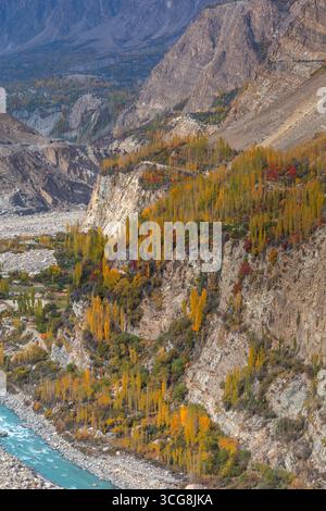 Vue sur les arbres d'automne dorés accrochés à des falaises accidentées au-dessus d'une rivière turquoise sinueuse, contrastant avec la montagne sombre en toile de fond, Hunza Nagar, Gilg Banque D'Images