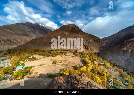 Vue du feuillage doré d'automne accroché aux pentes sous les montagnes escarpées, un contraste vibrant avec le vaste ciel, Yasin Valley, Gilgit Baltistan, Pakistan. Banque D'Images