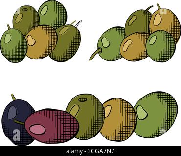 Fruit d'olive composition de baies d'olive colorée. Illustration vectorielle d'encre de ligne graphique. Signe botanique d'art grec. Produit sain. pour forfait, vacances des Illustration de Vecteur