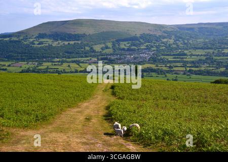 Vue depuis la montagne du pain de sucre, Abergavenny, parc national de Brecon Beacons, pays de Galles du Sud, Royaume-Uni Banque D'Images