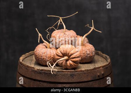 Black Futsu Pumpkin Winter Squash affiché sur un tonneau en bois rustique avec fond sombre Banque D'Images