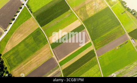 Champs cultivés formant des motifs géométriques dans la campagne autrichienne près de Haiming Banque D'Images