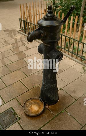 Vue latérale de la fontaine historique en fonte noire avec petit bassin rond, montrant clôture en bois et verdure luxuriante en arrière-plan. Banque D'Images