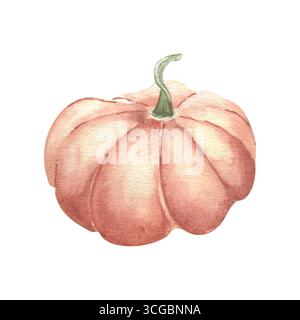 Grande illustration d'aquarelle de citrouille orange isolée. Croquis botanique végétal peint à la main dans des tons d'automne pastel. Dessin de gourde pour la saison Banque D'Images
