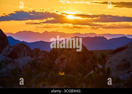 Coucher de soleil luisant sur le paysage rocheux et les Joshua Trees dans Gold Butte National Monument Banque D'Images
