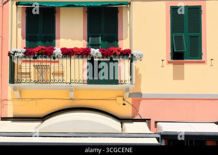249 Sud, façade de plage d'une maison jaune avec volets verts fermés sur un balcon fleuri et une fenêtre, tous deux à cadre rose. Monterosso al Mare-Ligurie. Banque D'Images