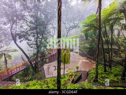 Une matinée brumeuse et pluvieuse au Jardim Monte Palace Madeira Gardens et au musée situé via le funiculaire de Funchal à la ville perchée de Monte Portugal. Banque D'Images