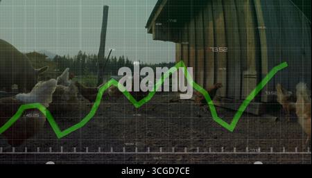 Poulets en liberté errants qui se nourrissent sur la cour de ferme, avec poulailler en bois et superposition de graphiques de données verts Banque D'Images