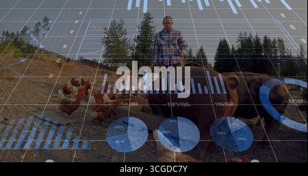 Tenant seau en métal, agriculteur portant chemise à carreaux nourrissant les poulets et les porcs à la ferme avec des cartes Banque D'Images