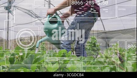 Jardinier à genoux arrosant des lits surélevés dans la serre, avec arrosoir vert et superpositions numériques Banque D'Images