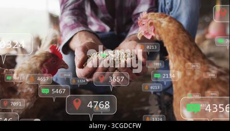 Gardien accroupi portant une chemise à carreaux offrant une alimentation en coop, avec des poules brunes et des superpositions numériques Banque D'Images