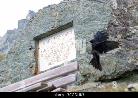 Heiligenblut, Carinthie, Autriche. 27 août 2025. Alpine chough volant près de la Grossglockner Hochalpenstrasse, également connue sous le nom de Grossglockner High Alpine Road. C'est la route de col de montagne la plus haute surface en Autriche, nommée d'après la plus haute montagne d'Autriche. (Crédit image : © Andreas Stroh/ZUMA Press Wire) USAGE ÉDITORIAL SEULEMENT ! Non destiné à UN USAGE commercial ! Banque D'Images