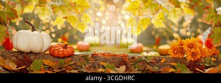 Citrouilles décoratives, feuilles d'automne et fleurs sur une surface en bois rustique avec des lumières d'automne brillantes en arrière-plan. Banque D'Images