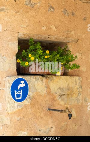 Fleurs jaunes poussant près d'une source d'eau potable avec signe dans le poète Sigillat, France Banque D'Images