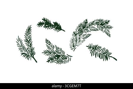 Ensemble de branches de pin de Noël, arbre à feuilles persistantes, sapin, branche de cèdre, icône vectorielle. Silhouettes de branches d'épinette. Plantes d'hiver, arbre du nouvel an, décoration de vacances. Illustration de contour vert dessinée à la main. Illustration vectorielle. Illustration de Vecteur