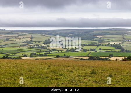 Campagne vallonnée du Dorset et champs de patchwork, île de Purbeck, Angleterre Banque D'Images