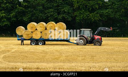 Tracteur et chargeur frontal stationnés dans le champ (vue latérale) et travail masculin (balles de paille ramassées chargées après récolte) - Farnley, North Yorkshire, Angleterre Royaume-Uni. Banque D'Images