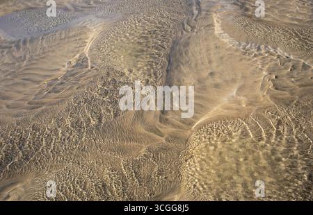 Textures complexes dans le sable façonnées par les eaux de marée peu profondes, avec des ondulations et des reflets naturels créant une scène côtière abstraite Banque D'Images