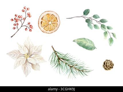 Ensemble de Noël de branche de sapin vert, tranche d'orange séchée, fleur de poinsettia blanc, branche de baies rouges, pomme de pin et eucalyptus. Aquarelle dessinée à la main Illustration de Vecteur
