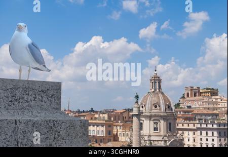 Cette vue montre le sommet de la colonne de Trajan et le Forum de Trajan dans la Rome antique, en Italie avec un goéland argenté, ou mouette de chasse de sandwich de grand touriste ! Banque D'Images