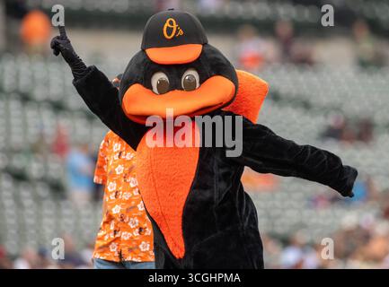 Baltimore, États-Unis. 28 août 2025. BALTIMORE, MD - AOÛT 28 : Orioles mascotte The Bird sur le terrain lors d'un match MLB entre les Orioles de Baltimore et les Red Sox de Boston, le 28 août 2025, à Oriole Park à Camden Yards, à Baltimore, Maryland. (Photo de Tony Quinn/SipaUSA) crédit : Sipa USA/Alamy Live News Banque D'Images