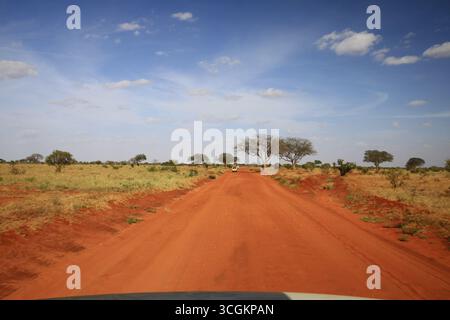 Piste de sable rouge au sein du parc de Tsavo au Kenya Banque D'Images