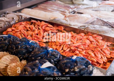 Étal de marché avec assortiment de crevettes, poissons et fruits de mer sur glace Banque D'Images