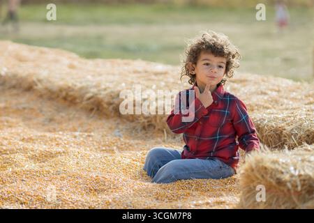 Enfant en chemise rouge à carreaux assis dans la fosse à maïs à la zone de citrouille de l'Utah Banque D'Images