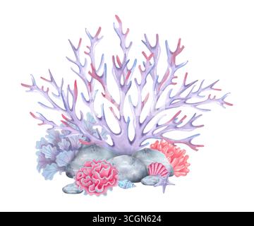 Récif corallien avec coquillages, pierres et étoiles de mer. Illustration aquarelle. Composition avec des animaux sous-marins et des cailloux. Dessiné à la main isolé Tropic Banque D'Images