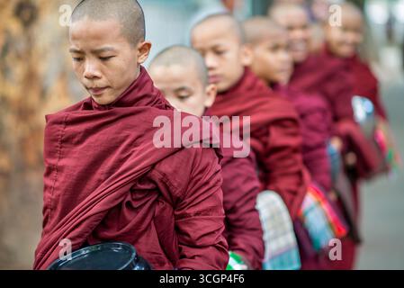 Les novices du monastère de Mahagandayon font la queue pour le déjeuner Mandalay Myanmar // MANDALAY, Myanmar — les novices du monastère de Mahagandayon font la queue pour le déjeuner à Mandalay, Myanmar. Ces jeunes moines en formation, vêtus de robes marron traditionnelles, tiennent leurs bols d'aumônes dans le cadre de leur routine quotidienne. Le monastère de Mahagandayon est l'un des collèges monastiques les plus importants et les plus importants du Myanmar, abritant des milliers de moines et de novices. C’est un centre vital pour l’éducation et la pratique bouddhistes, situé dans la région de Mandalay. Le repas communal est une partie importante de la vie quotidienne et de la discipline du monastique Banque D'Images