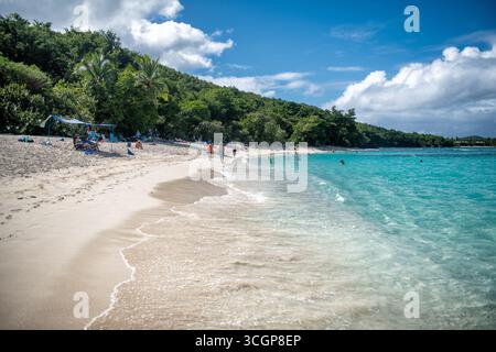 Hawksnest Bay Beach St John Îles Vierges américaines // ST JOHN, USVI — Hawksnest Bay Beach est une destination populaire sur les îles Vierges américaines, connue pour ses rives sablonneuses et ses eaux turquoises claires. La plage est bordée de collines verdoyantes, offrant une toile de fond pittoresque pour les visiteurs. Plusieurs personnes sont vues se détendre sous une canopée bleue sur le sable, tandis que d'autres nagent ou marchent le long du rivage. Hawksnest Bay fait partie du parc national des îles Vierges, préservant sa beauté naturelle et offrant des possibilités de loisirs aux habitants et aux touristes. Les eaux tranquilles sont idéales pour Banque D'Images