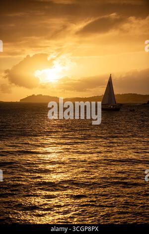 Voilier à Sunset Over Water près de St Thomas de Cruz Bay St John USVI // ST JOHN, USVI — Un voilier navigue sur les eaux au large de John, Îles Vierges américaines, alors que le soleil se couche, projetant une lueur dorée sur la mer des Caraïbes. Au loin, l’île de préparThomas est visible à l’horizon. La vue est capturée depuis Gallows point dans Cruz Bay, un point de vue populaire sur le site John connu pour ses panoramas pittoresques. La scène tranquille met en valeur la beauté naturelle des îles Vierges américaines, un territoire comprenant plus de 50 îles et cayes. Cet archipel est situé dans le nord-est des Caraïbes se Banque D'Images