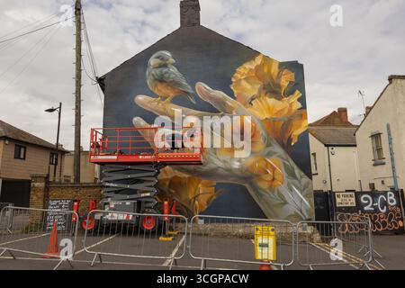 Southend on Sea, Royaume-Uni. 29 août 2025. Artiste travaillant sur une fresque à grande échelle à Southend-on-Sea, représentant une main translucide avec un oiseau perché et des fleurs vibrantes. La scène comprend un ascenseur hydraulique et des barrières de sécurité. Les artistes commencent à travailler sur leurs murs pour la quatrième édition de Southend City Jam. L'événement se déroule sur trois jours, avec plus de 250 artistes dans divers lieux à travers la ville. Penelope Barritt/Alamy Live News Banque D'Images