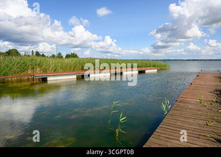 Jetée en bois sur la rive du lac Niegocin. Masurian Lakes. Pologne Banque D'Images