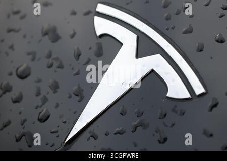 Logo Tesla sur une surface noire avec des gouttelettes de pluie après la légère bruine du matin. Banque D'Images